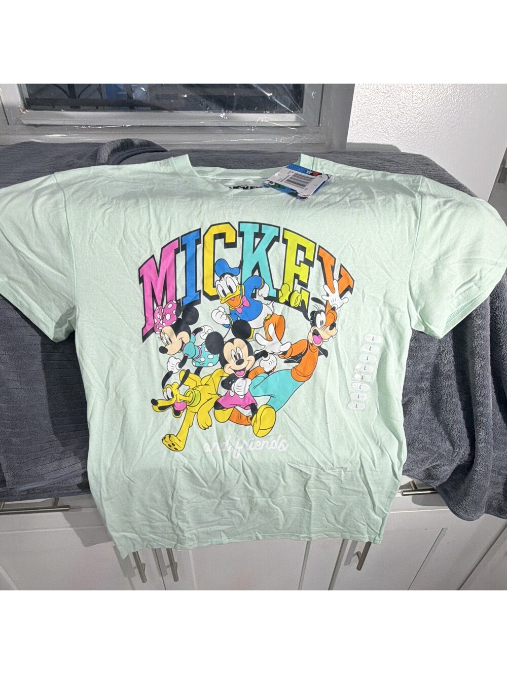 Disney Mickey Mouse and Friends Graphic T-Shirt Mint Multicolor Adult S-XXL